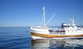 Fiskebåten til whalesafari.no (foto: whalesafari.no)