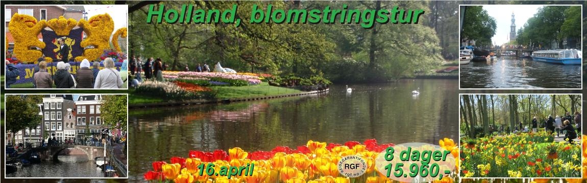 Holland blomstringstur