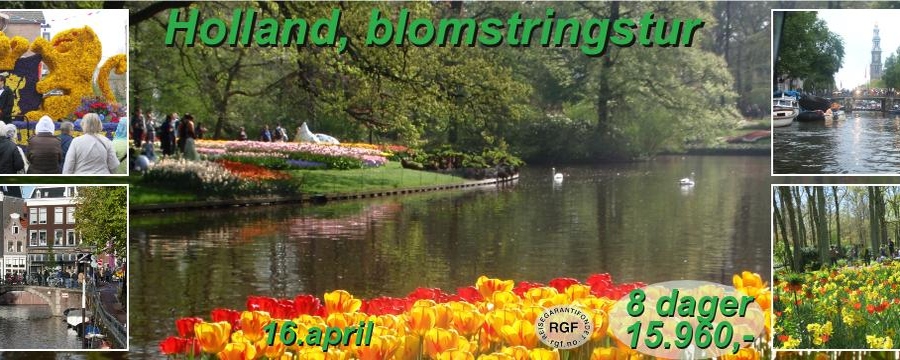 Holland blomstringstur