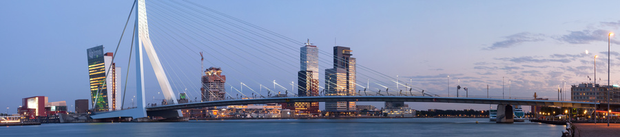 Erasmusbroen, Rotterdam