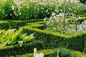 The White garden, Sissinghurst (WikiCommons: Roger Cornfoot CC)