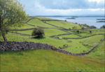 Irsk landskap