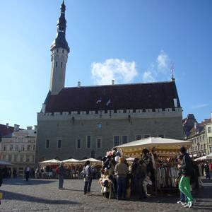 Torget, Tallinn