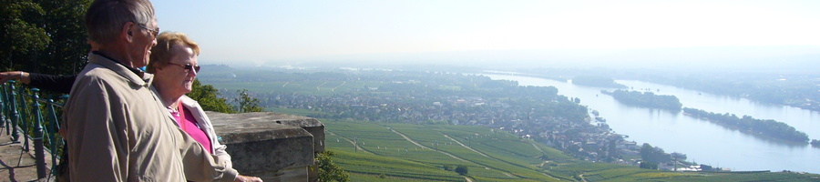 Utkikk over vinranker og landskap fra Niederwaldstøtten, Rüdesheim